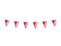 Pennants / bunting 13