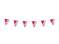 Pennants / bunting 13