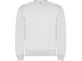 Clasica unisex crewneck sweater 172