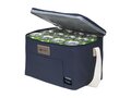 Wooosh Callisto GRS RPET Cooler Bag