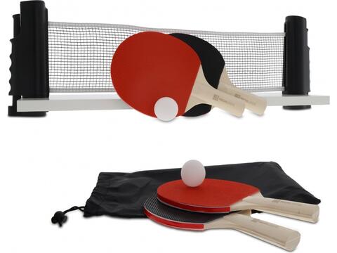 Table tennis set for a regular table