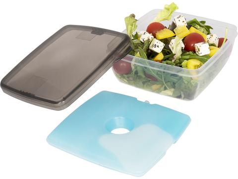 Glace lunch box with ice pad