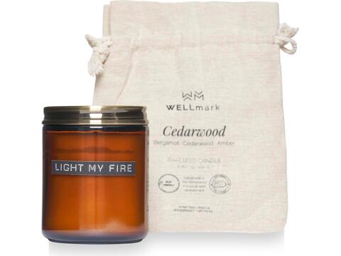Wellmark cedar wood scented candle medium