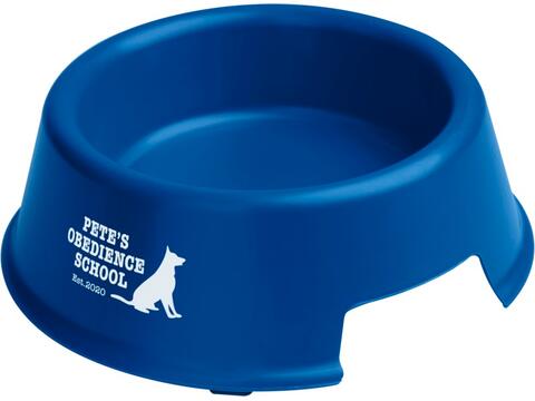 Koda dog bowl