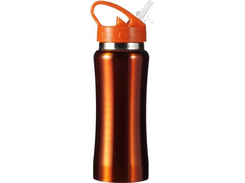 Stainless steel drinking bottle