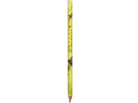 Pencil Full Colour