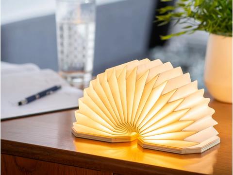 Gingko Smart Accordeon lamp