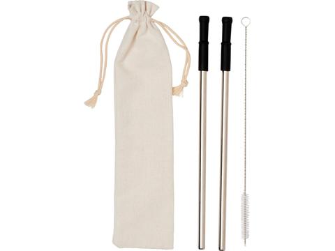 Lena reusable stainless straw set