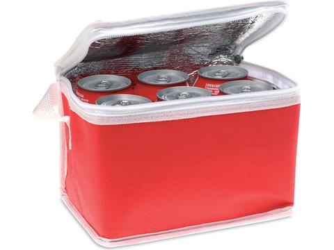 6 can cooler bag