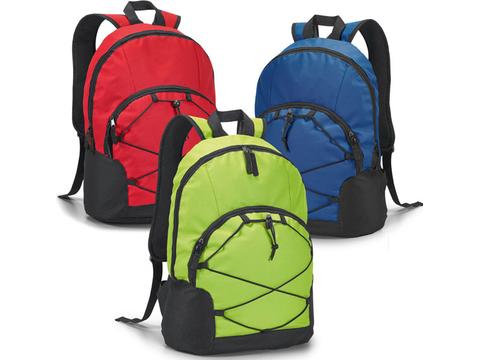 Laptop backpack Chameleon