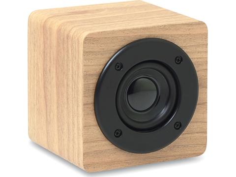 Bluetooth speaker with built-in amplifier