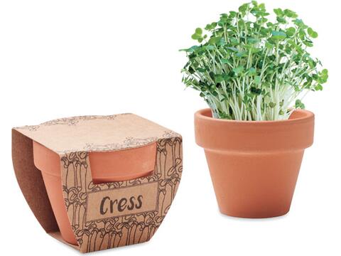 Terracotta pot cress seeds