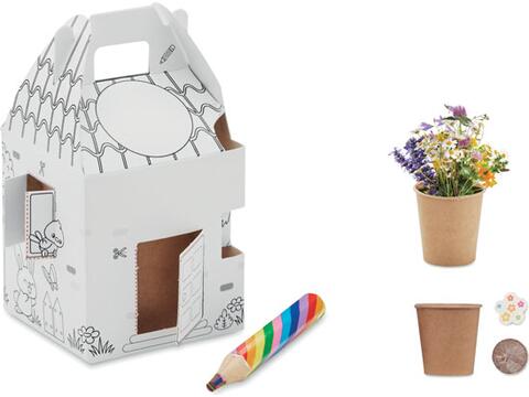 House shaped seeds grow set