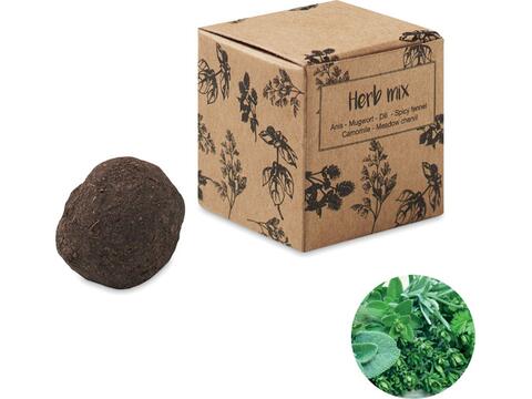 Herb seed bomb in carton box