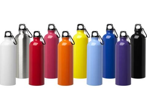 Oregon 750 ml RCS certified single wall stainless steel water bottle with carabiner