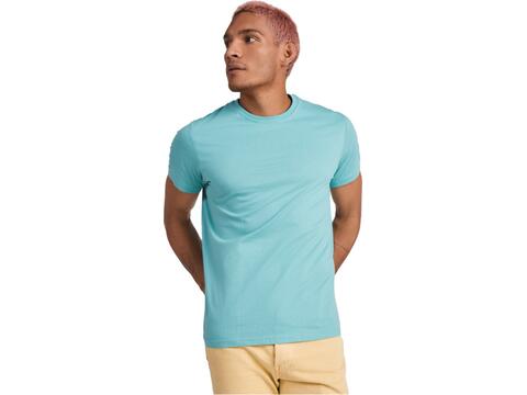 Stafford short sleeve men's t-shirt