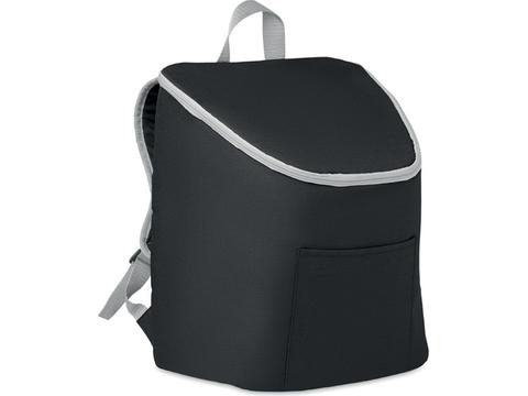 Cooler bag and backpack