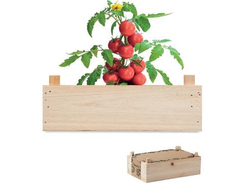 Tomato kit in wooden crate