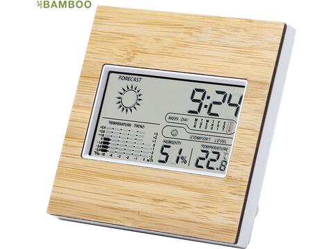 Weather station bamboo