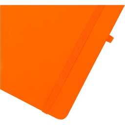 10796231_D1
