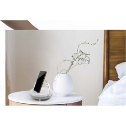 2PA16001_M1