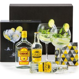 360126 gin tonic kerstpakket