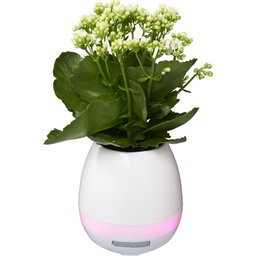 Bloempot Bluetooth luidspreker