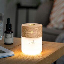 G017AH Gingko Smart Diffuser Lamp06