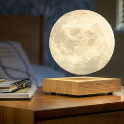 G019AH Gingko Smart Moon Lamp04