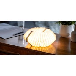 Gingko Smart Accordeon Lamp 2