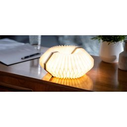 Gingko Smart Accordeon Lamp 2