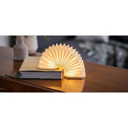 Gingko Smart Accordeon Lamp 5