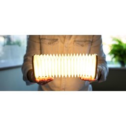 Gingko Smart Accordeon Lamp 7