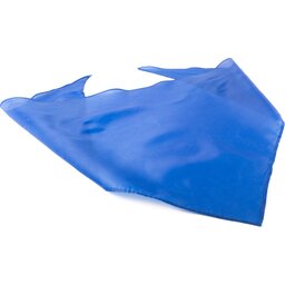 Jeugdbeweging nek sjaaltje - Bandana Plus bedrukken