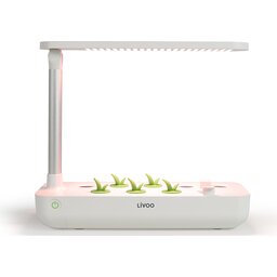 LIVOO Interieur tuintje_02