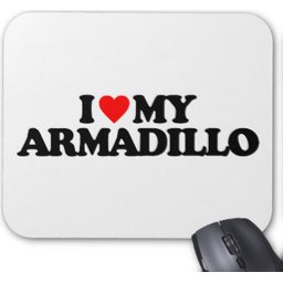 armadillo-mat-4358.jpg