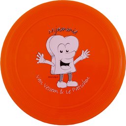 frisbee-standaard-7f7d.jpg