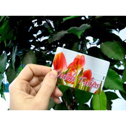 usb-credit-card-sense-2513.jpg