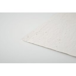mo6916-06-detail