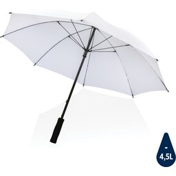 P850.621__B_1