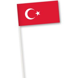 Paper flag European and International countries33