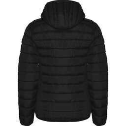 r50913o_b1