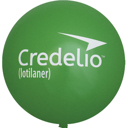 Reuze ballonnen Ø115 cm