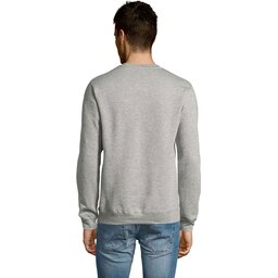 s13250-gm-back