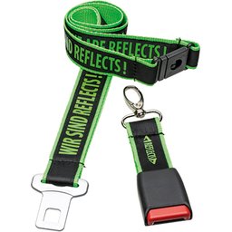 Seatbelt lanyard