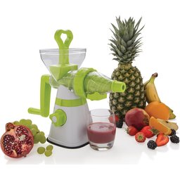 slow juicer 1