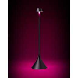 Steli black pink light