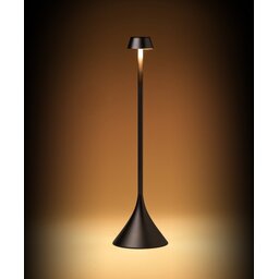 Steli black yellow light