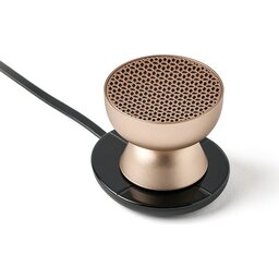 TAMO speaker goud 2.0