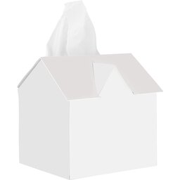 Tissue box huis